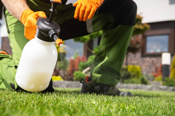 Best Flea Control Services  in Travelers Rest, SC