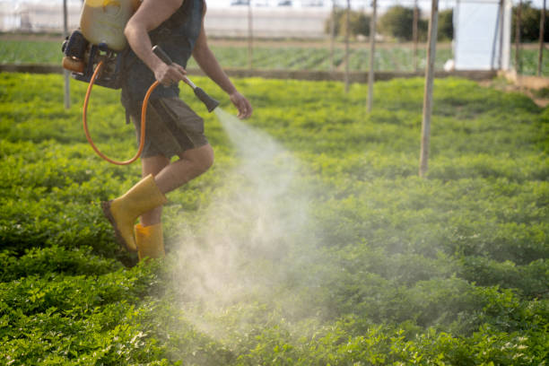 Best Local Pest Control Services  in Travelers Rest, SC