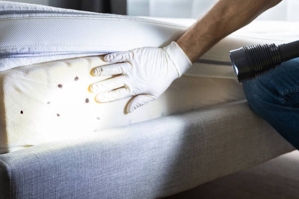Best Pest Removal Services  in Travelers Rest, SC
