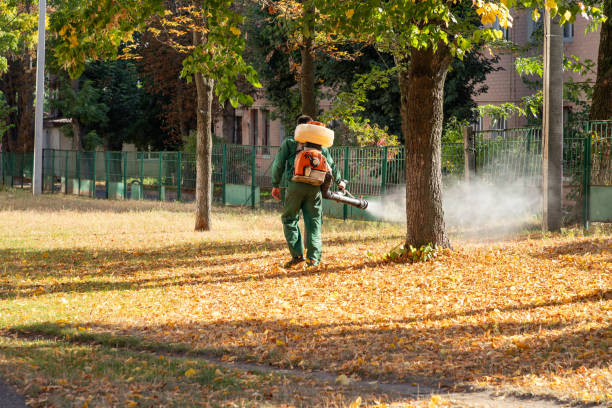 Best Pest Prevention Services  in Travelers Rest, SC