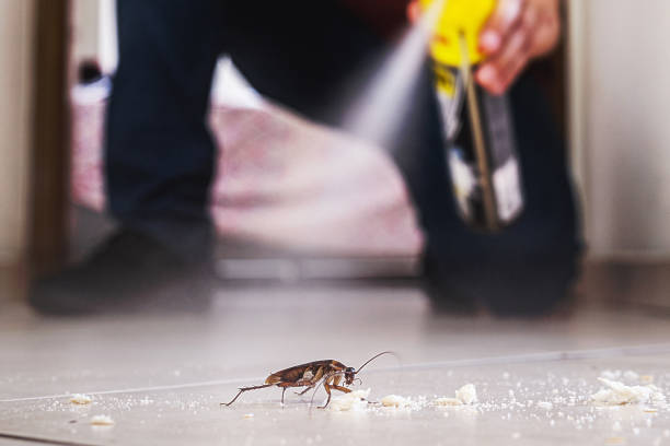 Best Pest Prevention Services  in Travelers Rest, SC