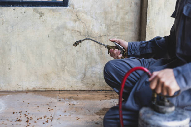 Best Pest Control Near Me  in Travelers Rest, SC